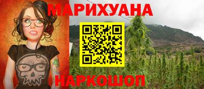 гашик Ливны